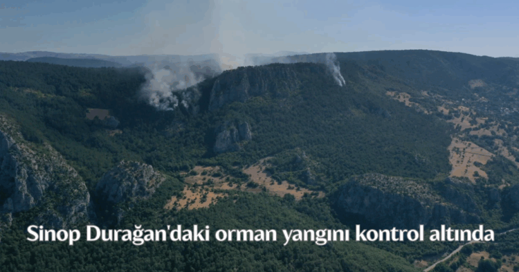 sinop duragandaki orman yangini kontrol altina alindi habermeydan