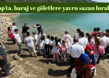 Sinop’ta, baraj ve göletlere 1 milyon 468 bin yavru sazan bırakıldı!