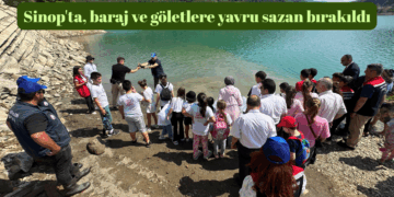 Sinop’ta, baraj ve göletlere 1 milyon 468 bin yavru sazan bırakıldı!