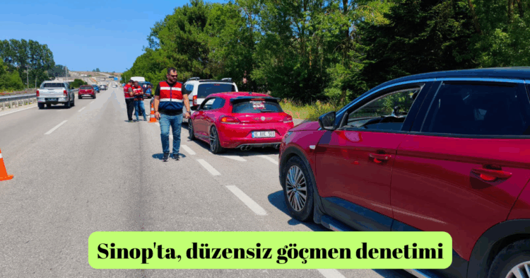 sinopta duzensiz gocmen denetimi habermeydan
