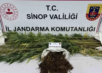 Sinop’ta, Jandarma’dan narkotik operasyonu!