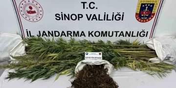 Sinop’ta, Jandarma’dan narkotik operasyonu!