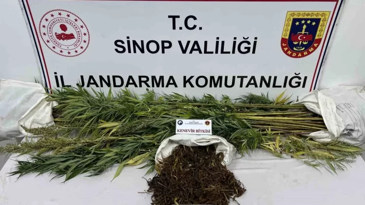 sinopta jandarmadan narkotik operasyonu habermeydan