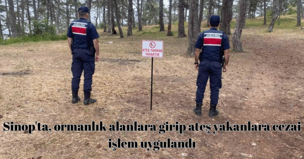 sinopta ormanlik alanlara girip ates yakanlara cezai islem uygulandi habermeydan