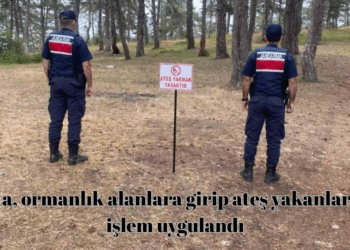 Sinop’ta, ormanlık alanlara girip ateş yakanlara cezai işlem uygulandı!