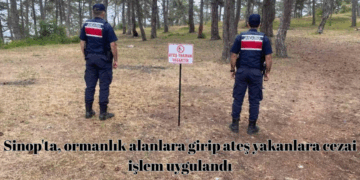 Sinop’ta, ormanlık alanlara girip ateş yakanlara cezai işlem uygulandı!
