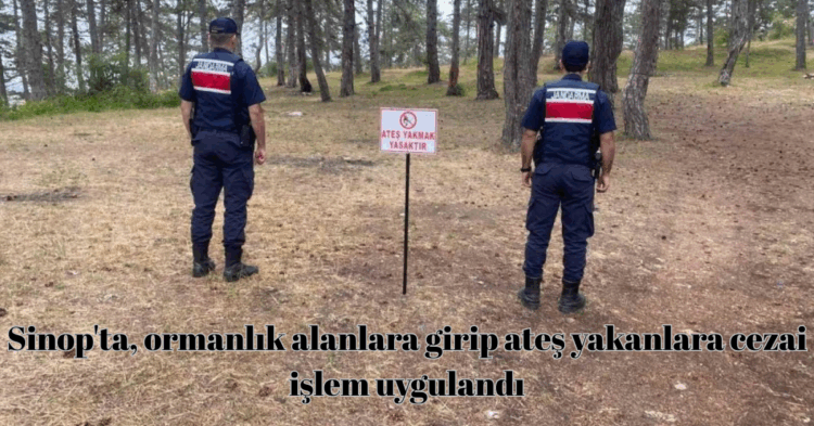 sinopta ormanlik alanlara girip ates yakanlara cezai islem uygulandi habermeydan