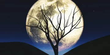 2 Eylül 2025 günlük burç yorumları