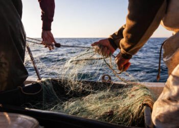Bakan Uraloğlu Duyurdu! Balıkçılara 4,7 Milyar TL Yakıt Desteği