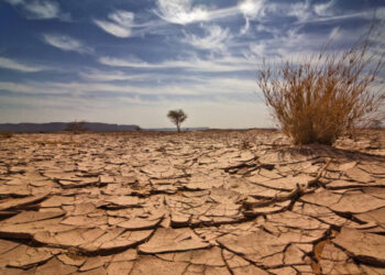 İzmir’de barajlardaki su seviyesi her geçen gün düşüyor