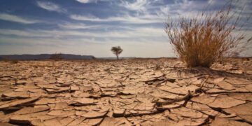 İzmir’de barajlardaki su seviyesi her geçen gün düşüyor