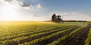 Tarım ürünleri üretici fiyat endeksi Ağustos’ta arttı