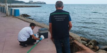 Yalova’da Denizi Kirleten 2 Belediyeye Ceza