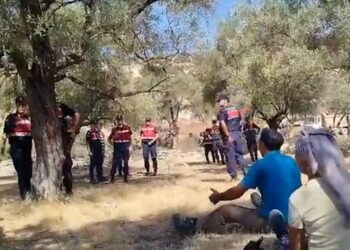 Akbelen’de zeytin ağaçları kesildi, gözaltılar yapıldı Akbelen’de zeytin ağaçları kesildi, gözaltılar yapıldı