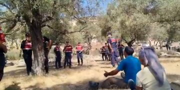 Akbelen’de zeytin ağaçları kesildi, gözaltılar yapıldı