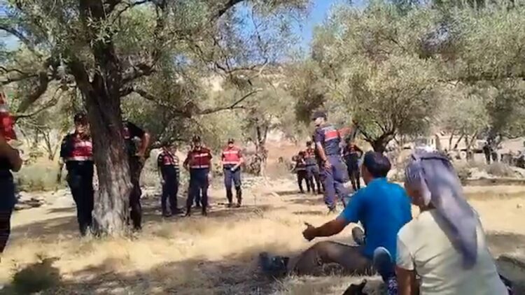 Akbelen’de zeytin ağaçları kesildi, gözaltılar yapıldı.