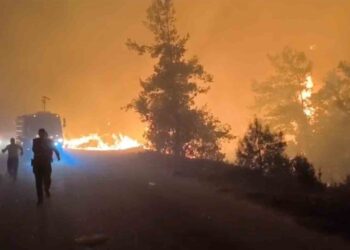 Alanya’da orman yangını: Evler boşaltıldı, bölgede elektrikler kesildi