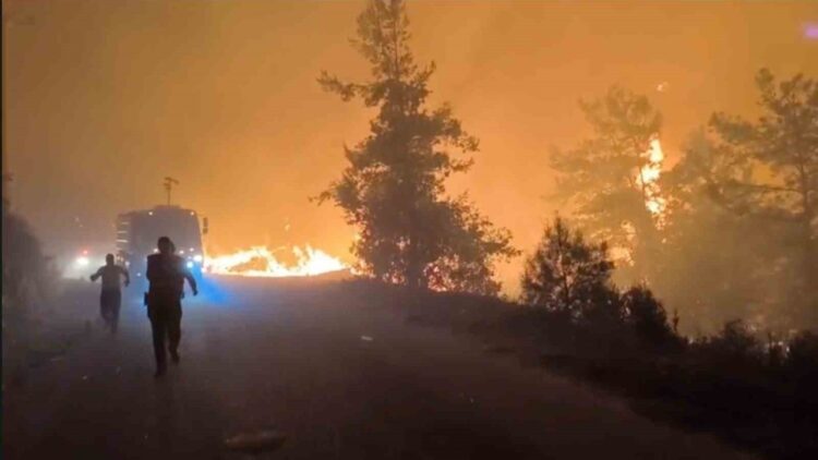 Antalya’nın Alanya ilçesinde çıkan orman yangınına hem havadan hem karadan müdahale sürüyor.
