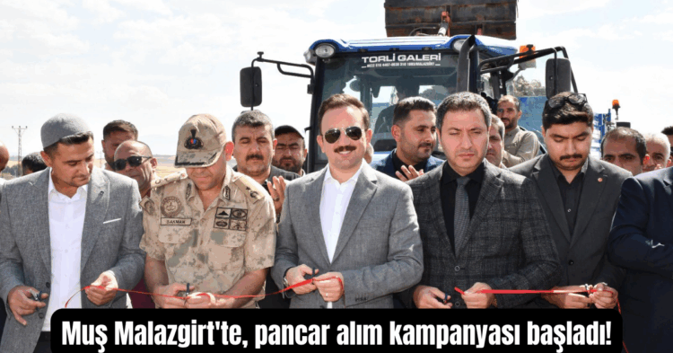 mus malazgirtte pancar alim kampanyasi basladi habermeydan