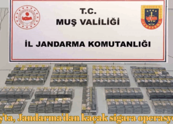 Muş’ta, Jandarma’dan kaçak sigara operasyonu!