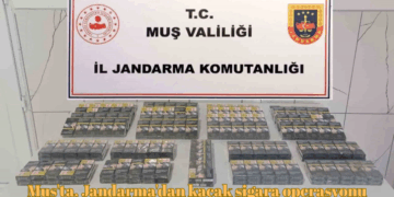 Muş’ta, Jandarma’dan kaçak sigara operasyonu!