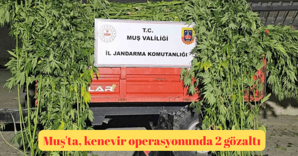 musta kenevir operasyonunda 2 gozalti habermeydan
