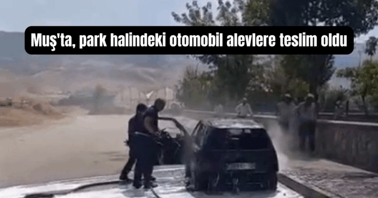 musta park halindeki otomobil yanarak kullanilamaz hale geldi habermeydan