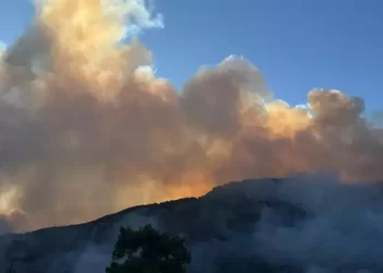 Antalya ve Muğla’da orman yangınları: Ekiplerin mücadelesi sürüyor