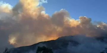 Antalya ve Muğla’da orman yangınları: Ekiplerin mücadelesi sürüyor