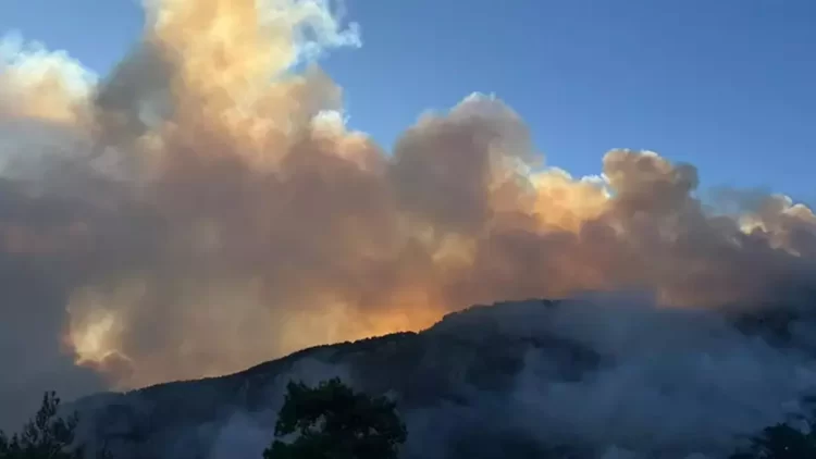 Antalya’nın Alanya ilçesi ile Muğla’nın Köyceğiz ve Milas ilçelerinde çıkan orman yangınlarına ekiplerin havadan ve karadan müdahalesi sürüyor.