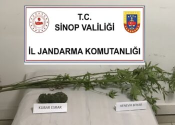 Sinop Ayancık’ta, uyuşturucu operasyonu!