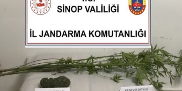 Sinop Ayancık’ta, uyuşturucu operasyonu!
