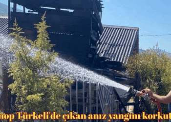Sinop Türkeli’de çıkan anız yangını korkuttu!