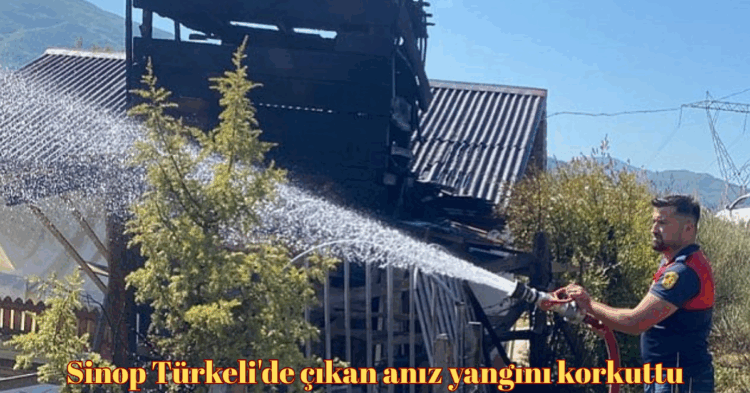 sinop turkelide cikan yangini korkuttu habermeydan