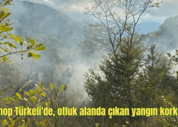 Sinop Türkeli’de, otluk alanda çıkan yangın korkuttu!