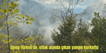 Sinop Türkeli’de, otluk alanda çıkan yangın korkuttu!