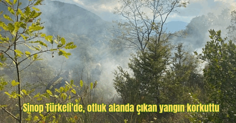 sinop turkelide otluk alanda cikan yangin korkuttu habermeydan