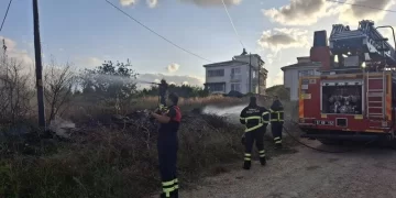 Sinop’ta, otluk alanda çıkan yangın korkuttu!