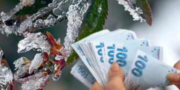 Don felaketinden etkilenen üreticilere devlet desteği