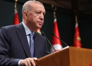 Erdoğan’dan Cumhuriyet'in 102. yaşını tebrik eden ülkelere teşekkür paylaşımı Erdoğan’dan Cumhuriyet’in 102. yaşını tebrik eden ülkelere teşekkür paylaşımı