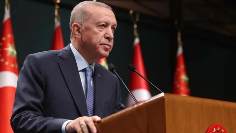 Erdoğan’dan Cumhuriyet'in 102. yaşını tebrik eden ülkelere teşekkür paylaşımı Cumhuriyetin 102 yasini tebrik eden ulkeler habermeydan