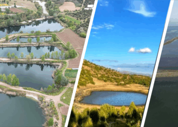 Türkiye’de 5 Yer ‘Mahalli Sulak Alan’ Kapsamına Alındı