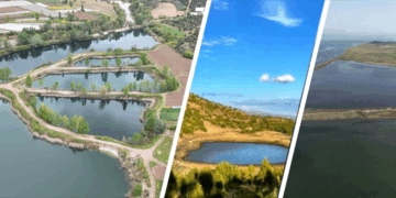 Türkiye’de 5 Yer ‘Mahalli Sulak Alan’ Kapsamına Alındı