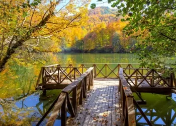 Bakanlıktan Milli Parklar Kanun Teklifine İlişkin Açıklama