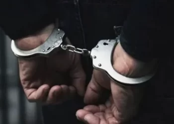 ‘Nitelikli Dolandırıcılık’ Operasyonu: 206 Tutuklama