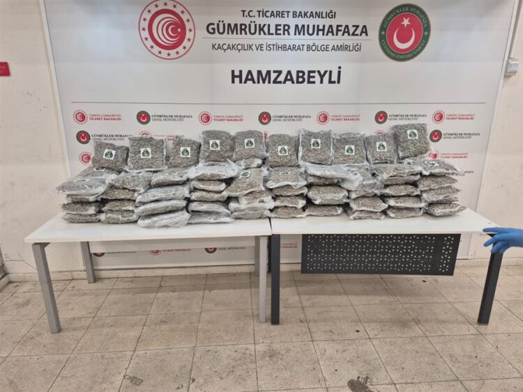 Turkiye Ispanya isbirligi ile sinir asan operasyon habermeydan