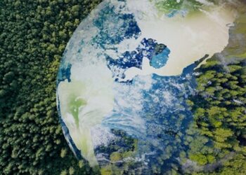 Türkiye’nin 10 Yıllık Ulusal Atık Yönetimi Stratejisi ve Planı’nı Açıklandı