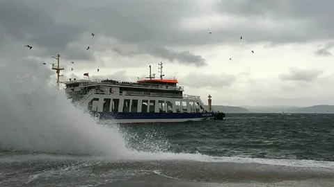 İDO, BUDO ve Şehir Hatları'nda peşe peşe iptal seferler iptal seferler habermeydan