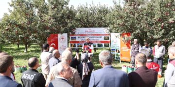 Muş’ta, 100 milyon lira gelir beklenen elma hasadı törenle başladı!