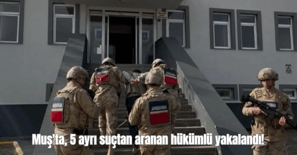 musta 5 ayri suctan aranan hukumlu yakalandi habermeydan